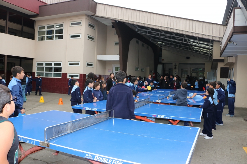 Día de la Actividad Física